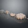Animal Bones of Various Sizes with Porous Surfaces Arranged on Gray Background