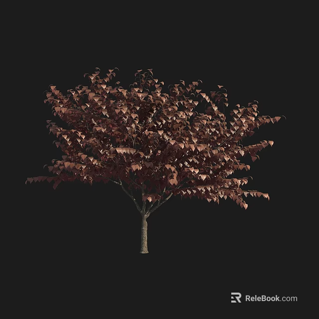 Ornamental Arbor With Red Brown Lush Foliage For Garden Landscaping Design 3d model 