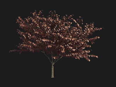 Ornamental Arbor With Red Brown Lush Foliage For Garden Landscaping Design 3d model