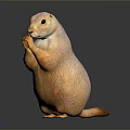 Realistic Prairie Dog 3D Model Standing On Hind Legs With Detailed Fur