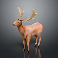 Deer Model With Large Antlers Light Brown Body White Spots Dark Background And Reflection Effect 3d model