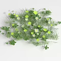 Vibrant Green Grass With Yellow Flowers And White Daisies In Natural Arrangement