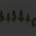 Green Trees With Different Shapes And Sizes Arranged In A Row On Grey Background