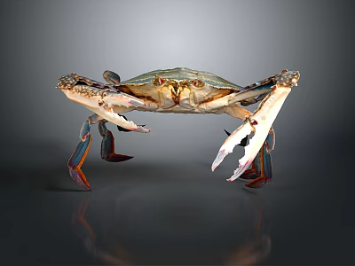 Detailed Green And Brown Crab With Large Claws And Colorful Legs 3d model