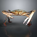 Detailed Green And Brown Crab With Large Claws And Colorful Legs