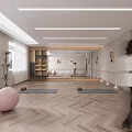 Modern Dance Studio With Yoga Mats Pink Exercise Balls And Wooden Floor