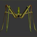 Green and Yellow Praying Mantis With Long Legs on Gray Background