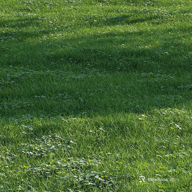 Tall Healthy Arbor With Lush Green Foliage Providing Shade In Urban Park Setting 3d model 