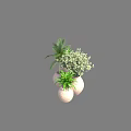 Elegant Bonsai Potted Plants in Clay Pots Featuring Various Green Plant Species