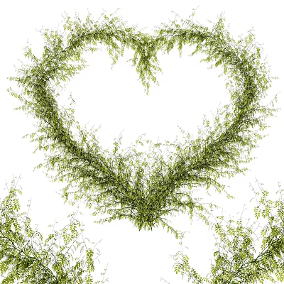 Green Vines Forming Heart Shape Design on White Background with Scattered Leaves 3d model