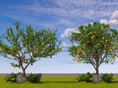 Fruit Bearing Arbor With Lush Green Leaves Oranges Blue Sky White Clouds Green Grass 3d model
