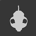 Detailed Animal Skull Structure With Hollow Eye Sockets And Nasal Cavity