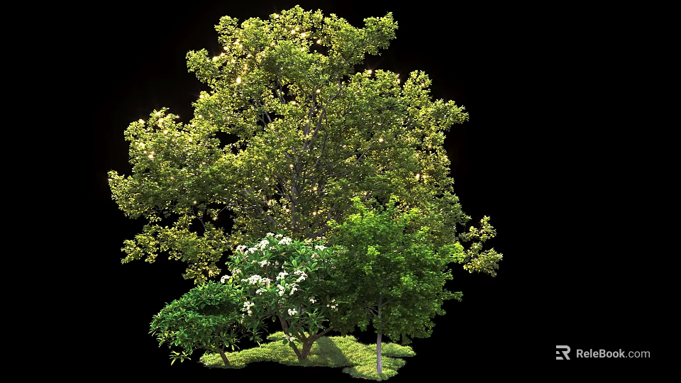 Tall Tree With Lush Green Foliage And White Blossoms In Natural Setting 3d model 