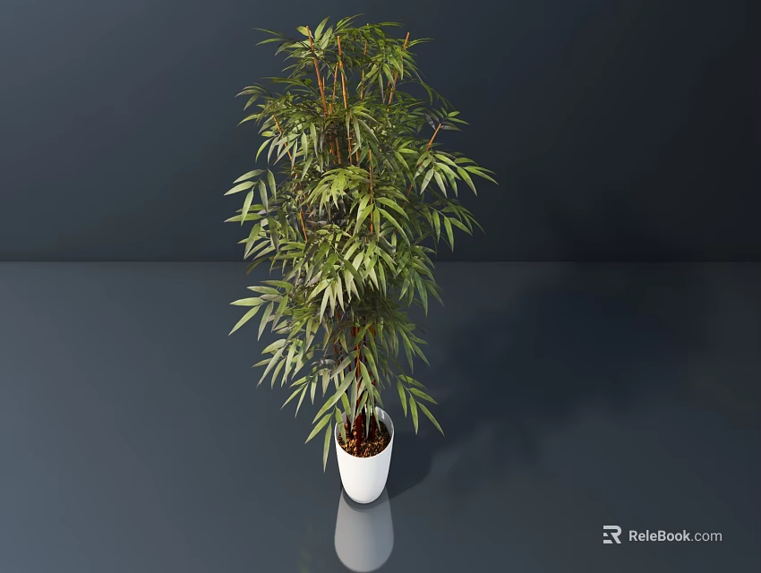 Bonsai Plant With Green Leafy Foliage In White Pot On Dark Reflective Surface 3d model 