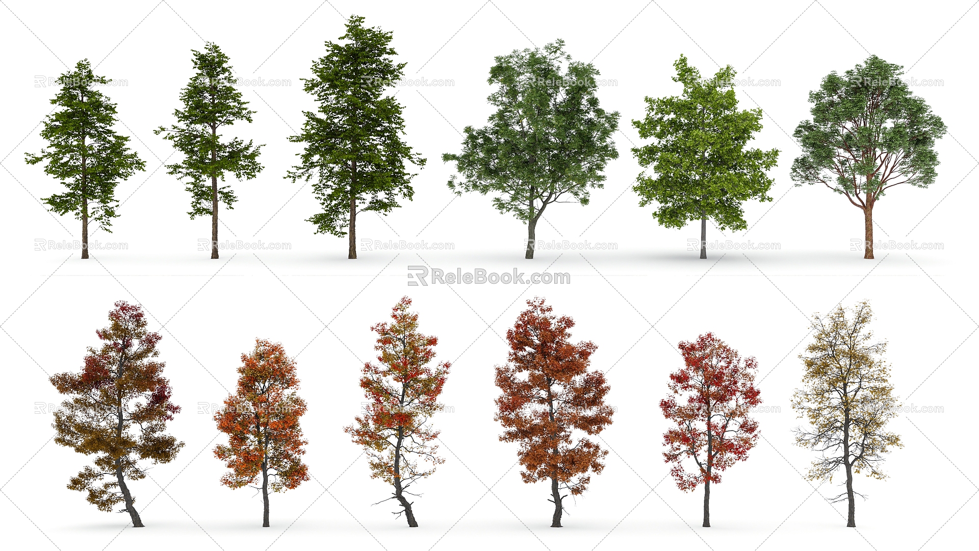 Tree Low Model Tree Sycamore Tree Decorative Tree Autumn Tree Spring Tree Winter Tree 3d model