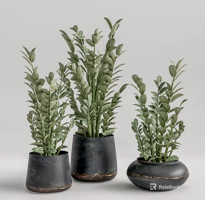 Elegant Green Leafy Bonsai Potted Plants With Black Ceramic Pots And Modern Design 3d model 