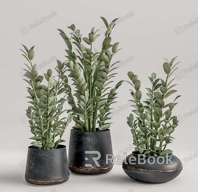 modern potted plant potted plant model