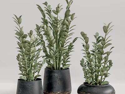 Elegant Green Leafy Bonsai Potted Plants With Black Ceramic Pots And Modern Design 3d model
