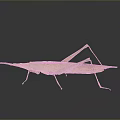Green Grasshopper With Long Antennae Slender Legs And Reflection On Gray Background 3d model