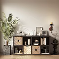 Stylish Decorative Cabinet With Woven Storage Boxes Books Green Plant And Beige Wall
