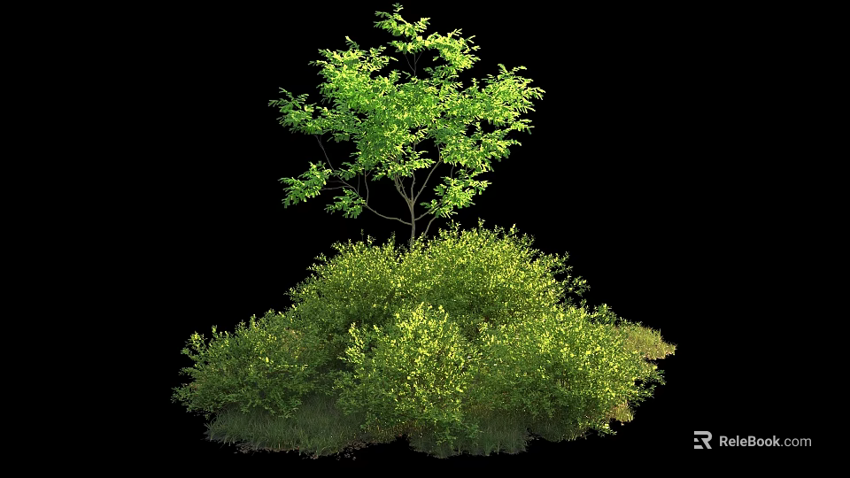 Lush Green Shrub With Vibrant Foliage And Healthy Fresh Leaf Growth 3d model 