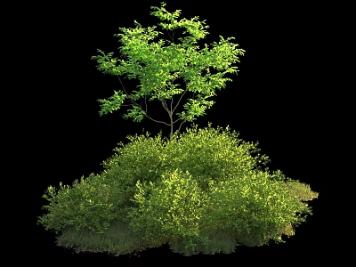 Lush Green Shrub With Vibrant Foliage And Healthy Fresh Leaf Growth 3d model