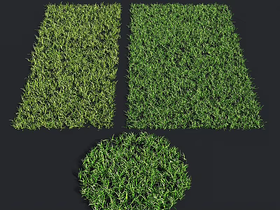 Modern Lawn Grass Weeds Plant Vegetation 3d model