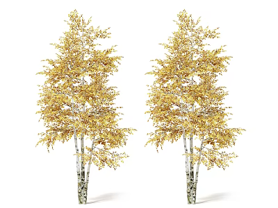 Two Birch Trees With White Trunks Black Spots And Golden Yellow Autumn Leaves 3d model