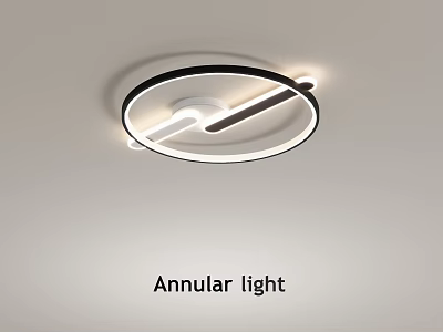 Sleek Annular Ceiling Light Featuring Modern Round Design And LED Illumination 3d model