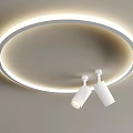 Simple creative ceiling lamp 3d model
