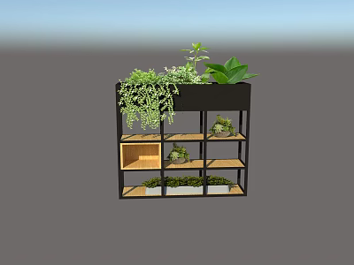 Multi tiered Black Garden Shelf With Green Plants Hanging Vines And Small Potted Plants 3d model