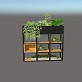 Multi tiered Black Garden Shelf With Green Plants Hanging Vines And Small Potted Plants