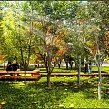 Scenic Park Landscape With Lush Trees Sunlight Benches And People On Green Lawn
