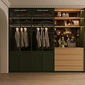 Elegant Walk in Closet Interior With Green Cabinets Glass Doors And Hanging White Shirts