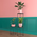 Three Bonsai Potted Plants On Black Metal Stands With Pink Teal Walls