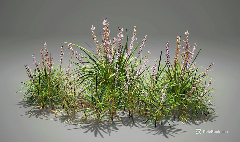 Lush Green Leafy Plants With Purple Flowers In Natural Garden Arrangement 3d model 