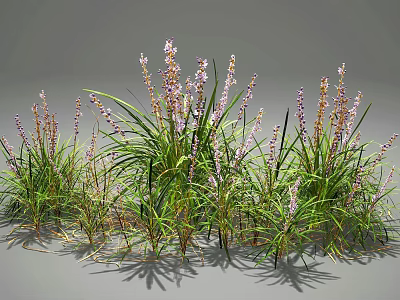 Lush Green Leafy Plants With Purple Flowers In Natural Garden Arrangement 3d model