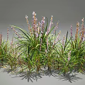 Lush Green Leafy Plants With Purple Flowers In Natural Garden Arrangement