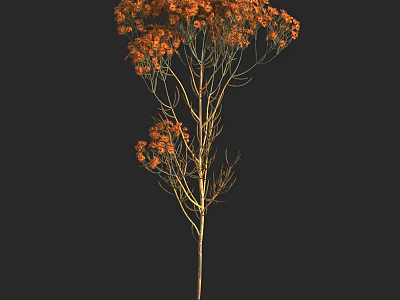 Orange Flowers In Decorative Vase With Slender Stems For Home Decor 3d model