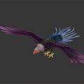Flying Eagle With Spreading Wings Dark Green And White Feathers Yellow Beak And Talons