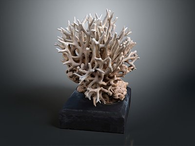 Modern Coral Red Coral White Coral Blue Coral 3d model