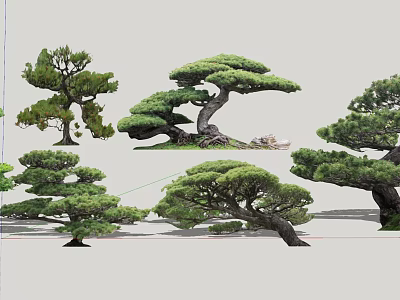 Various Formed Arbor Trees With Lush Green Foliage And Unique Trunk Structures 3d model