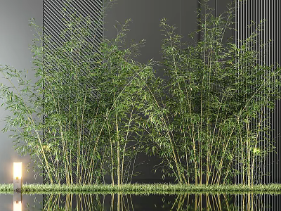 Lush Bamboo Garden Decor With Dark Striped Wall Grass Water Reflection And Small Lamp 3d model