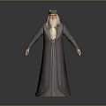 Wise Looking Game Movie Character Wearing Long Robe Hat And White Beard
