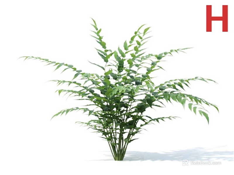 Lush Green Potted Plant With Slender Leaves And Bushy Foliage For Home Decoration 3d model 