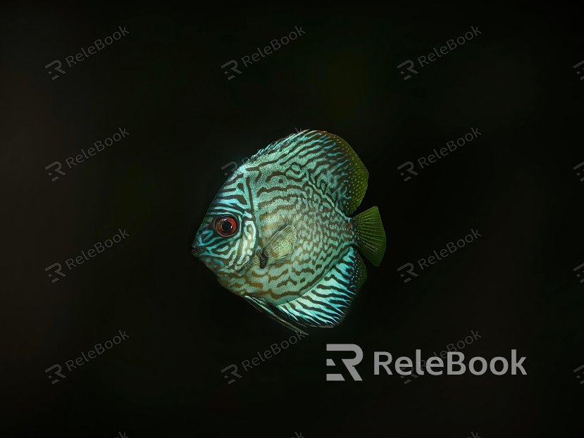 aquatic animal fish model