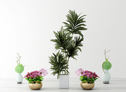 Modern Potted Plant 3d model