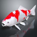 Modern Fish Cold Water Fish Koi Goldfish 3d model