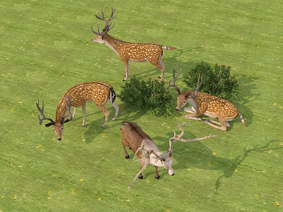 Several Reptiles Basking And Moving On Lush Green Grass With Bushes 3d model