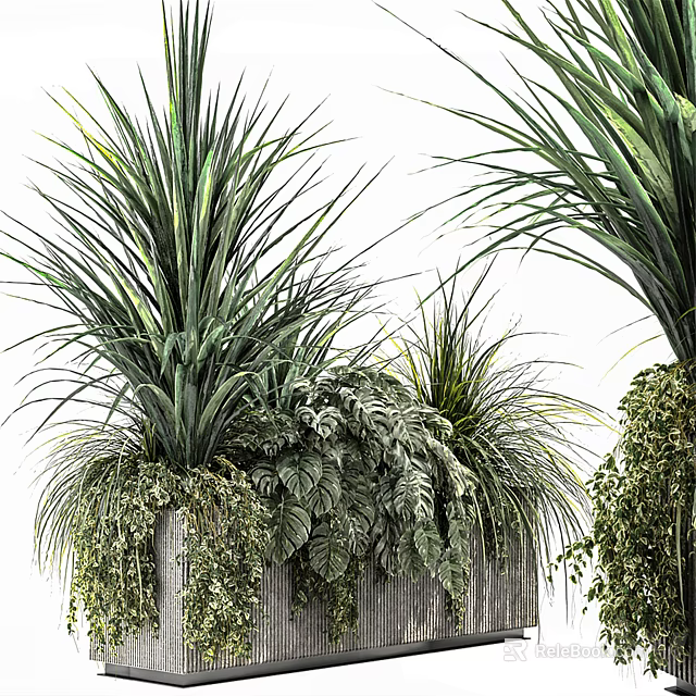 Bonsai Potted Plants With Lush Green Foliage And Varied Leaf Shapes In Decorative Planters 3d model 